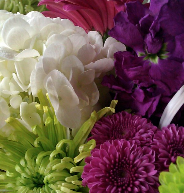 Wedding Flowers for LessMaking it Happen! Sweetwater Style