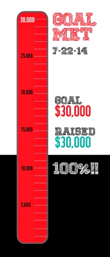 Goal Meter