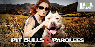 Pit Bulls and Parolees