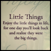 Why Little Things?