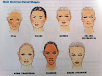 face shape image