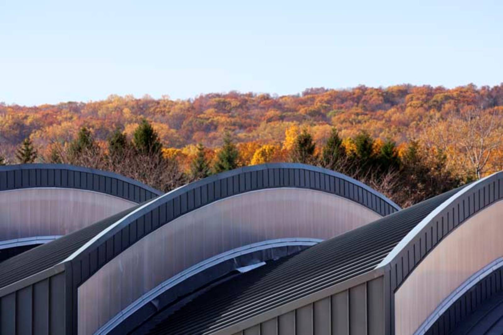 REED ACADEMY BY WXY ARCHITECTURE A As Architecture