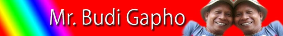 Budi Gapho