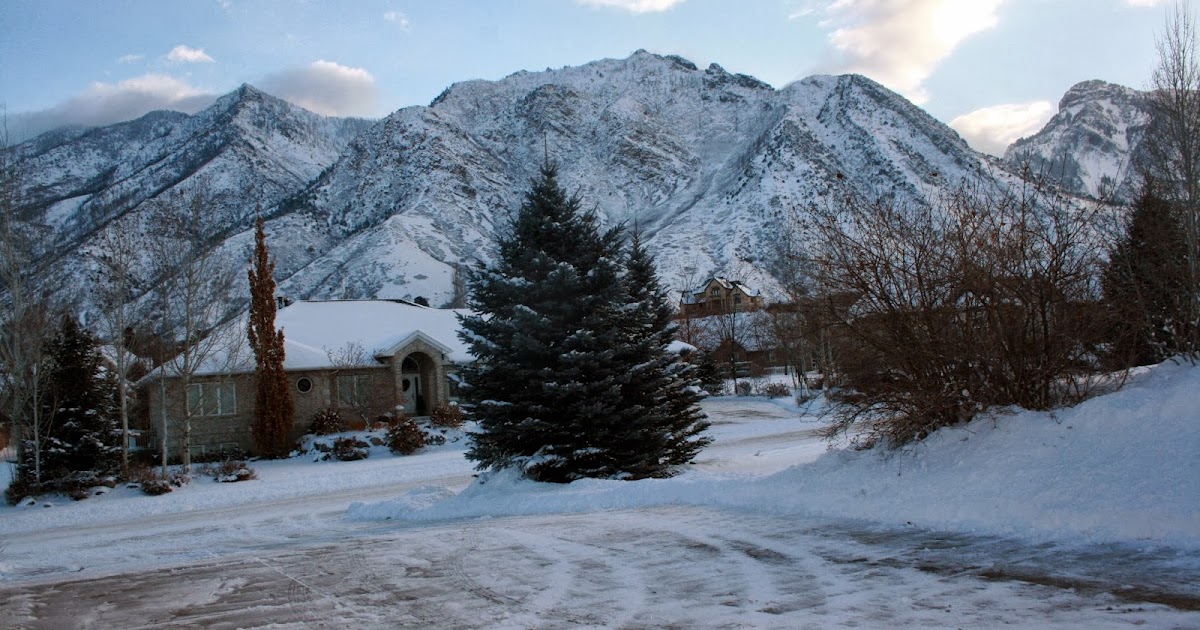 Compatible With JoyTrisomy18 Wheelchair Snow Tires