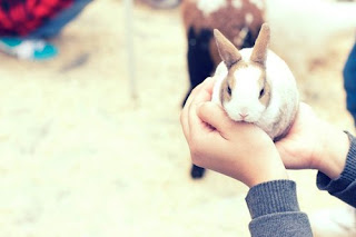 Syafira Danindya English Day First Day