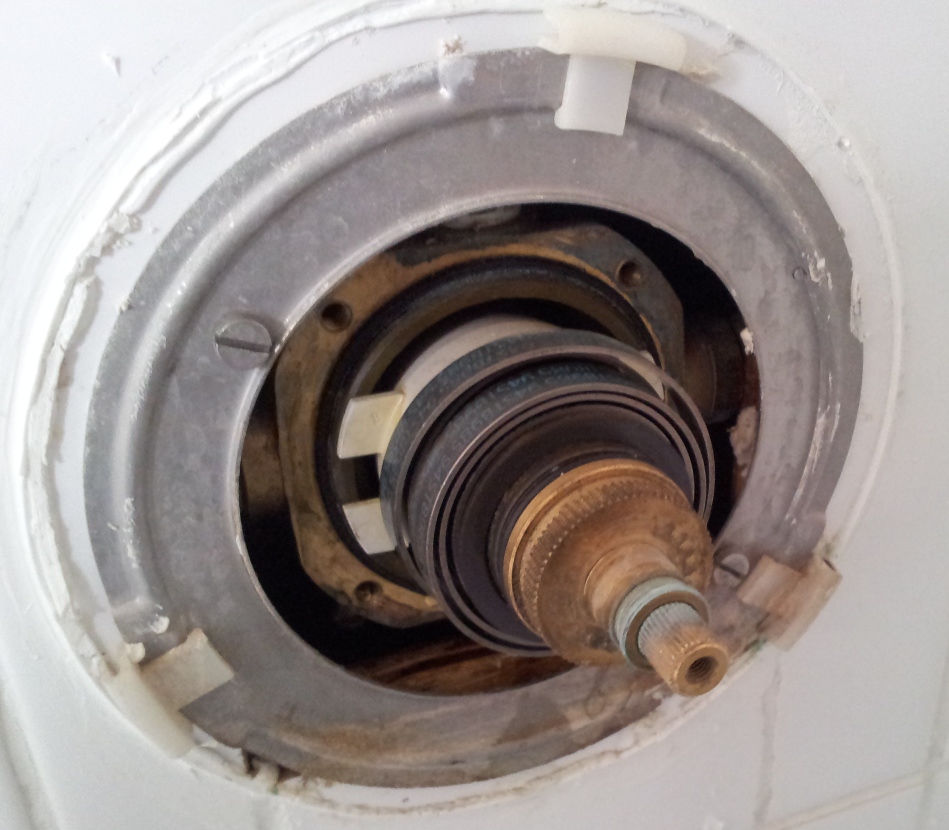 TSE How to Service a Mira 723 Shower