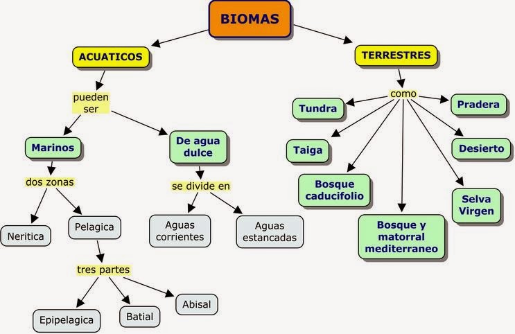 cuantas clases de cadenas carbonadas hay ecologia cuantas clases de cadenas carbonadas hay ecologia