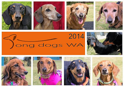 Long Dogs WA Calendar