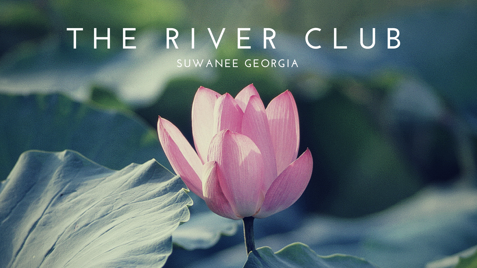 Live In The River Club