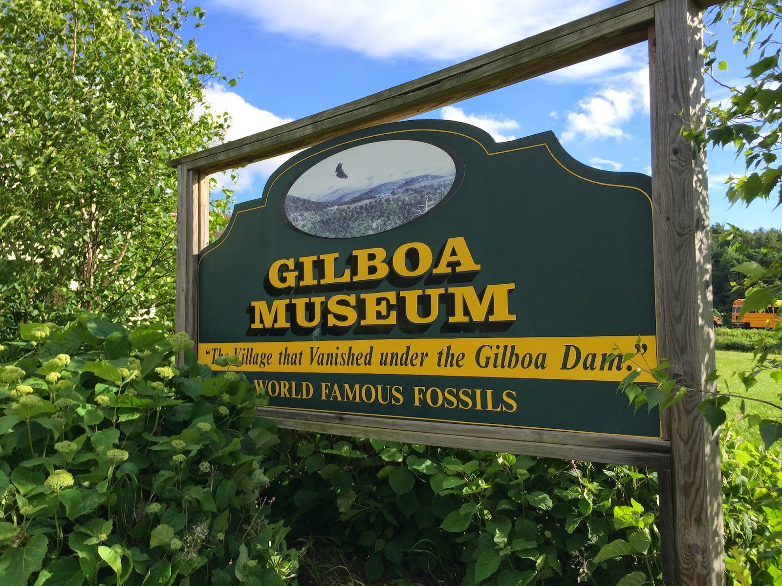 venturing4th Gilboa Forest