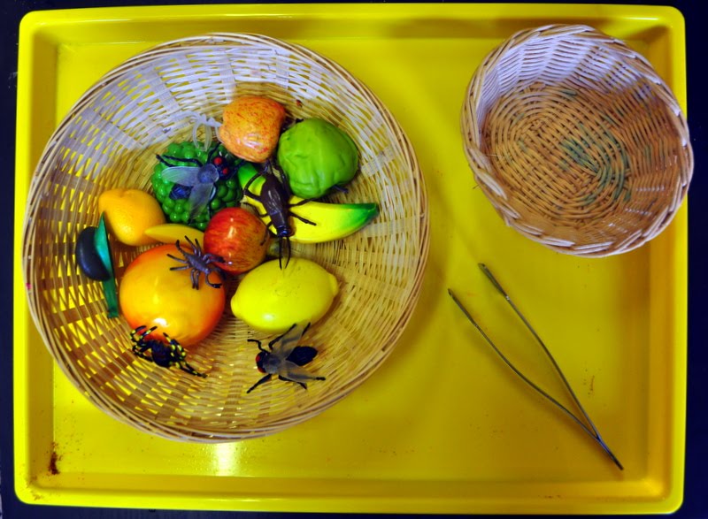 A Jewish Homeschool Blog Parshas Shemini Kosher Animals