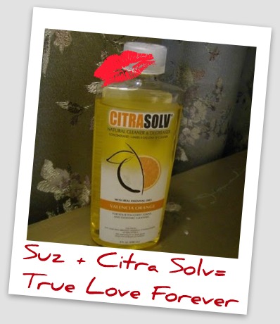 Where To Buy Citra Solv In The Uk