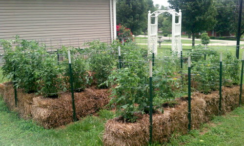 Inexpensive Raised Garden Bed Ideas raisedbeds1 I Like This Idea Because I Think It Would Last Longer Being Made From Metal We Happen To Have Some Aluminum Siding From A Shed That Blew Down Inexpensive Raised Garden Bed Ideas best 25 cheap raised garden beds ideas on pinterest I Like This Idea Because I Think It Would Last Longer Being Made From Metal We Happen To Have Some Aluminum Siding From A Shed That Blew Down