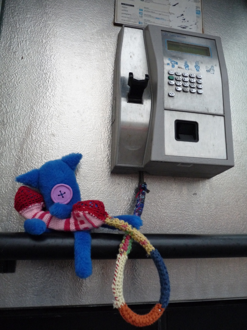 chat herouville saint clair
