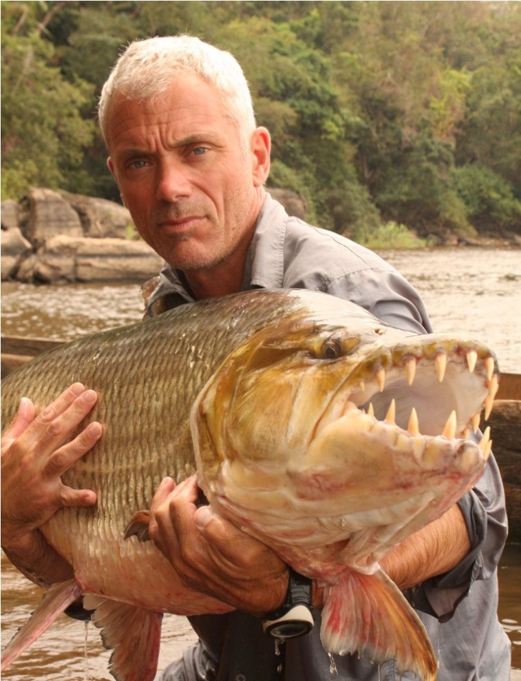 rio rio