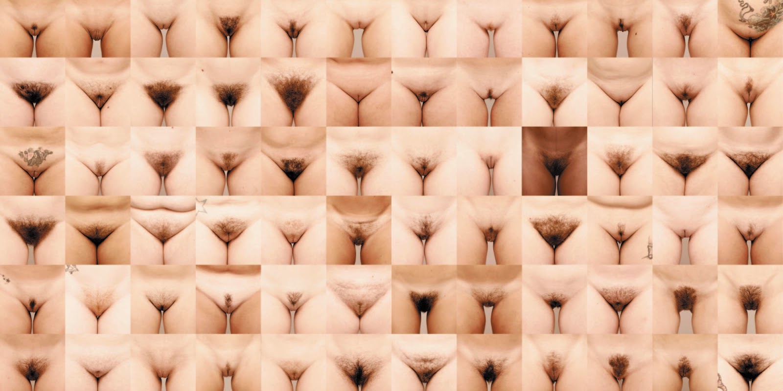 Porn lot of vagina