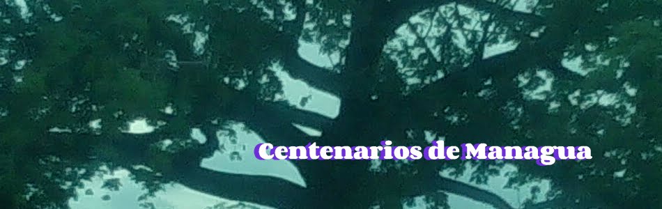 Centenarios de Managua