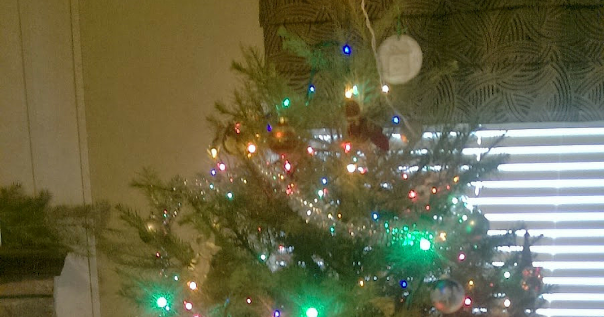 the rural economist bringing rural back podcast 16 uses for your old christmas tree - Old Christmas Tree the rural economist bringing rural back podcast 16 uses for your old christmas tree - Old Christmas Tree