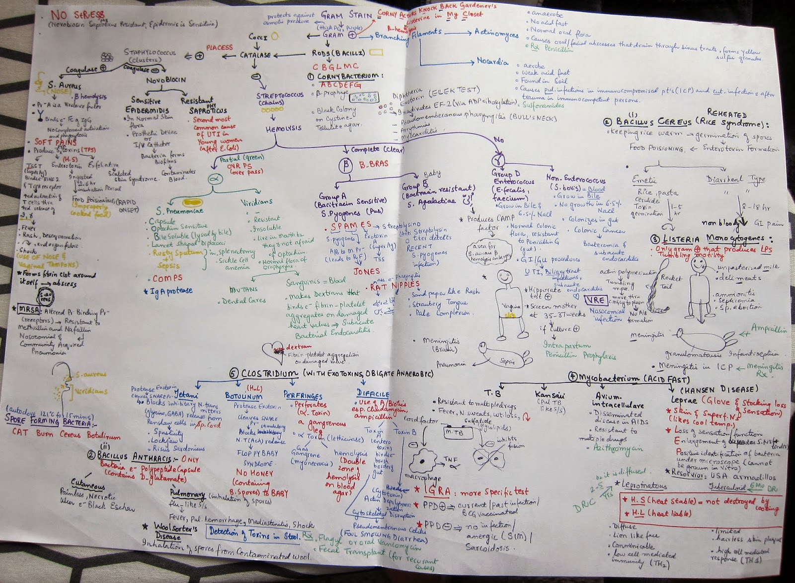 microbiology notes Find great deals on ebay for microbiology notes shop with confidence. microbiology notes Find great deals on ebay for microbiology notes shop with confidence.