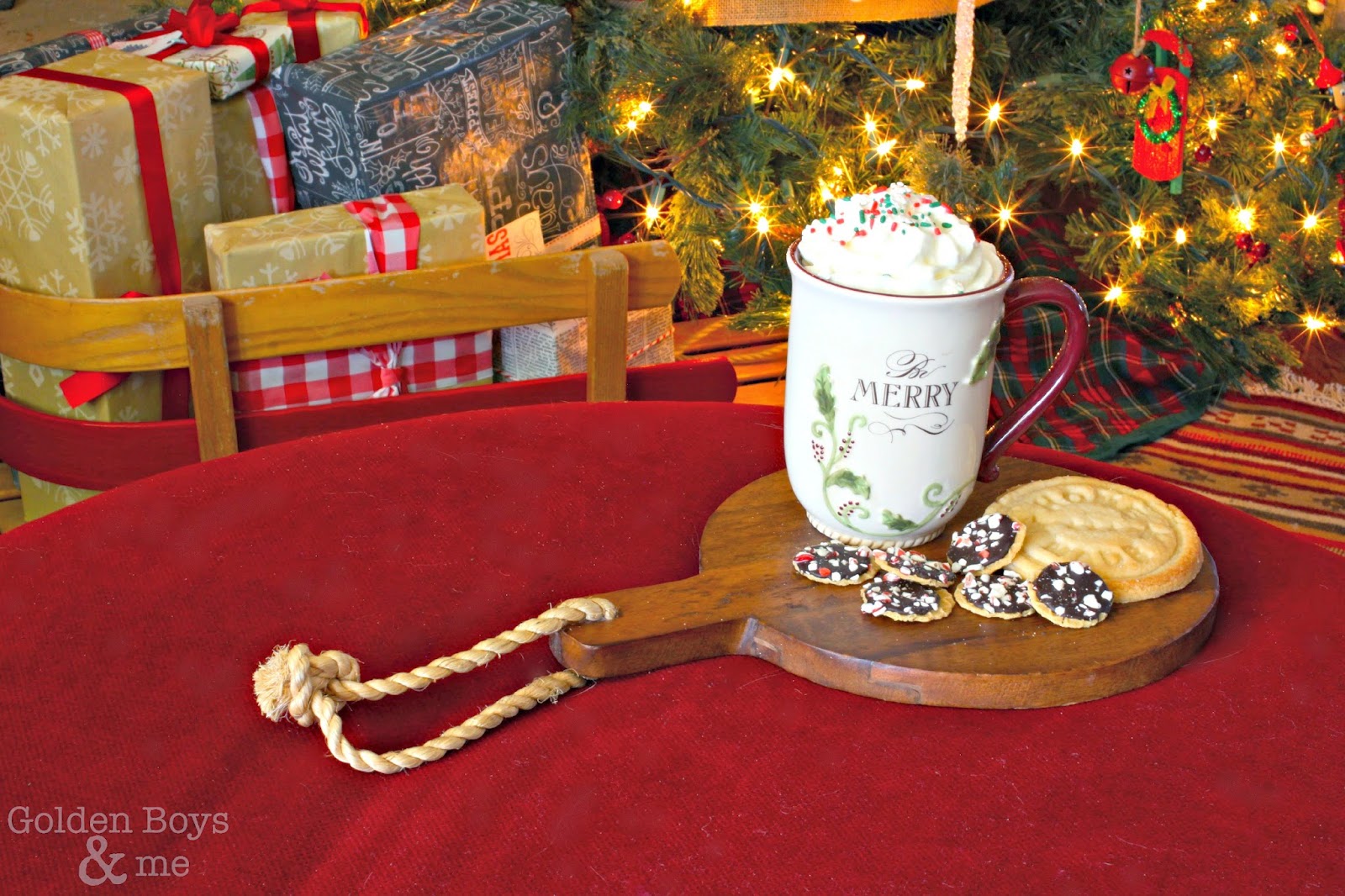Hot chocolate in front of Christmas tree-www.goldenboysandme.com