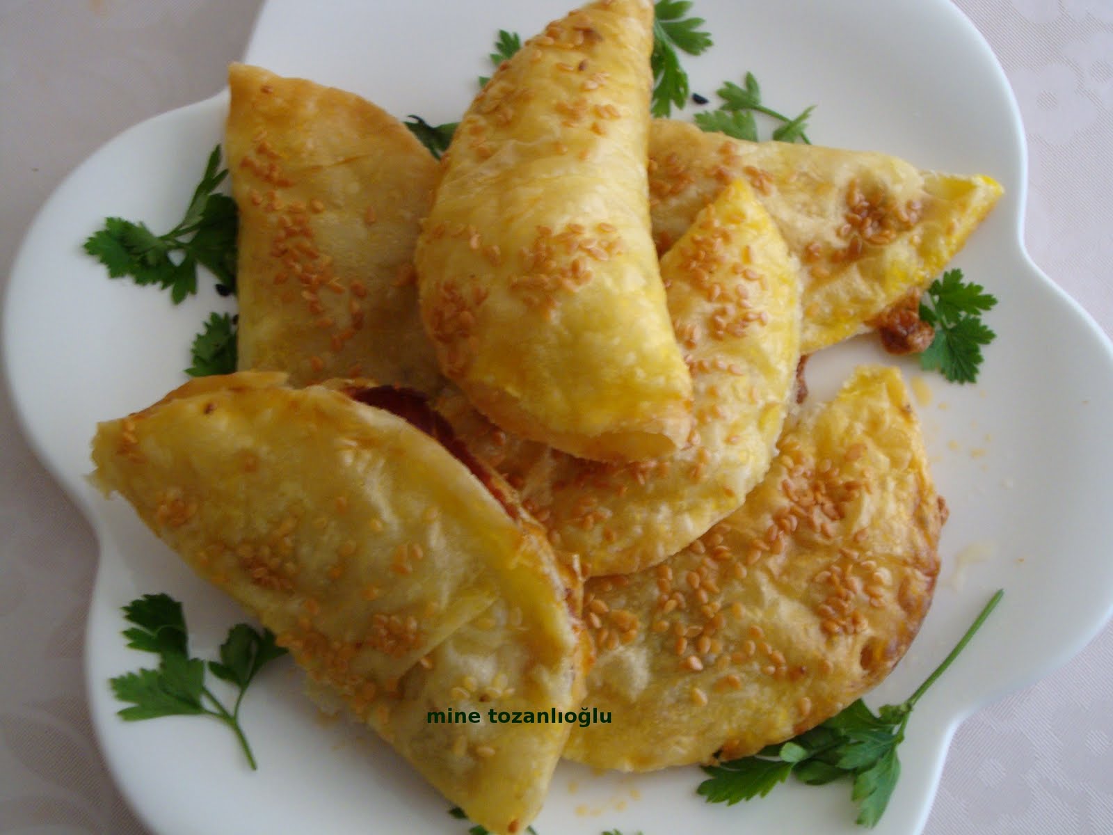 MİNE TOZANLIOĞLU Kolay Börek