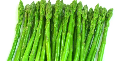 Budidaya Tanaman Asparagus Tanaman Hias Dan Permasalahannya