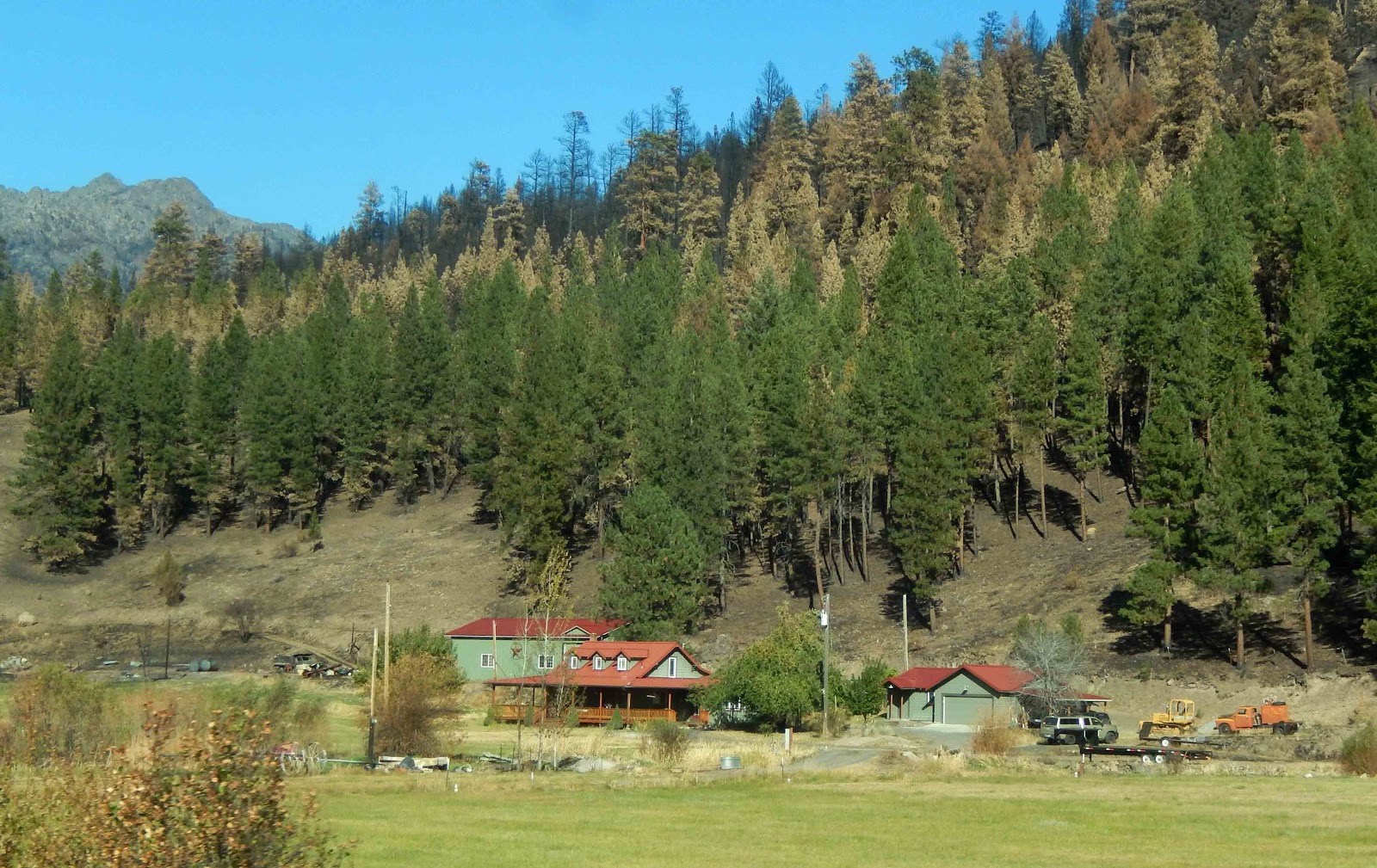 Cat Patches John Day, Oregon, to Home