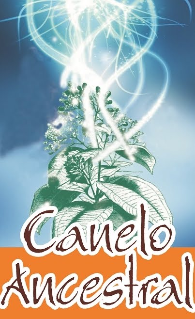 CANELO ANCESTRAL