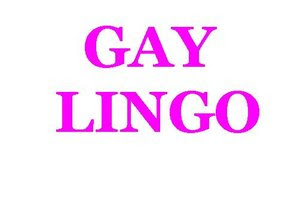 Gay Lingo