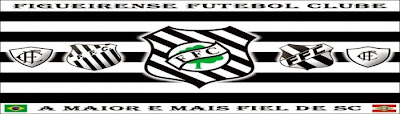 História do Figueirense Futebol Clube
