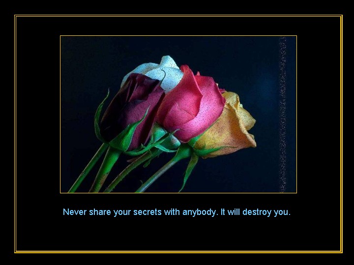 Beautiful Quotes for Life with Beautiful Flowers - The Fun Learning