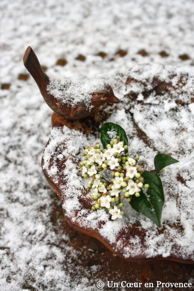 Abreuvoir à oiseaux en fonte, sous un peu de neige