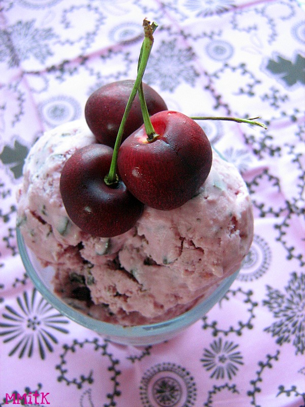 Meet Me in the Kitchen Cherry Chocolate Chip Ice Cream