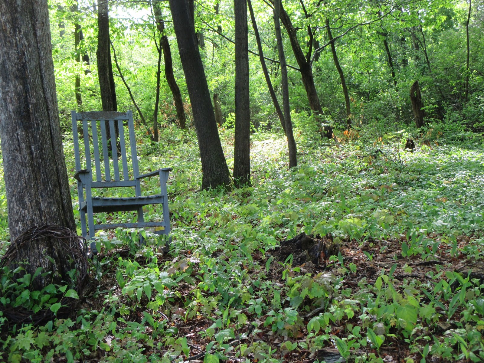 FINISHING TOUCHES NATURAL BURIAL GROUND