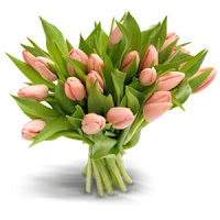 Kleurenkaartenteam : 13de oproep : roze en groen