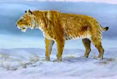 Kucing Besar Dari Zaman Prasejarah Sampai Modern