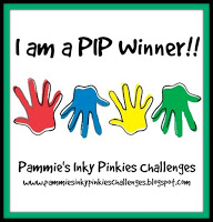 Winner PIP Challenge 1902