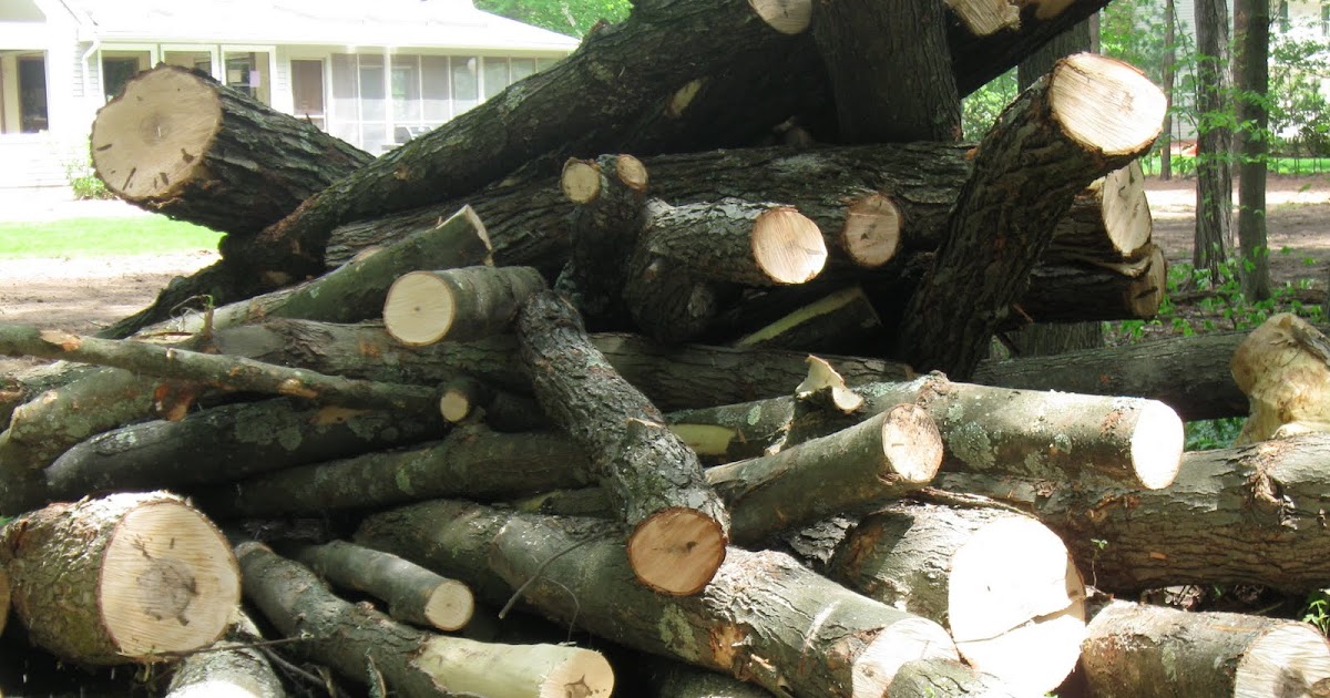 Design Megillah Tree Stump Table