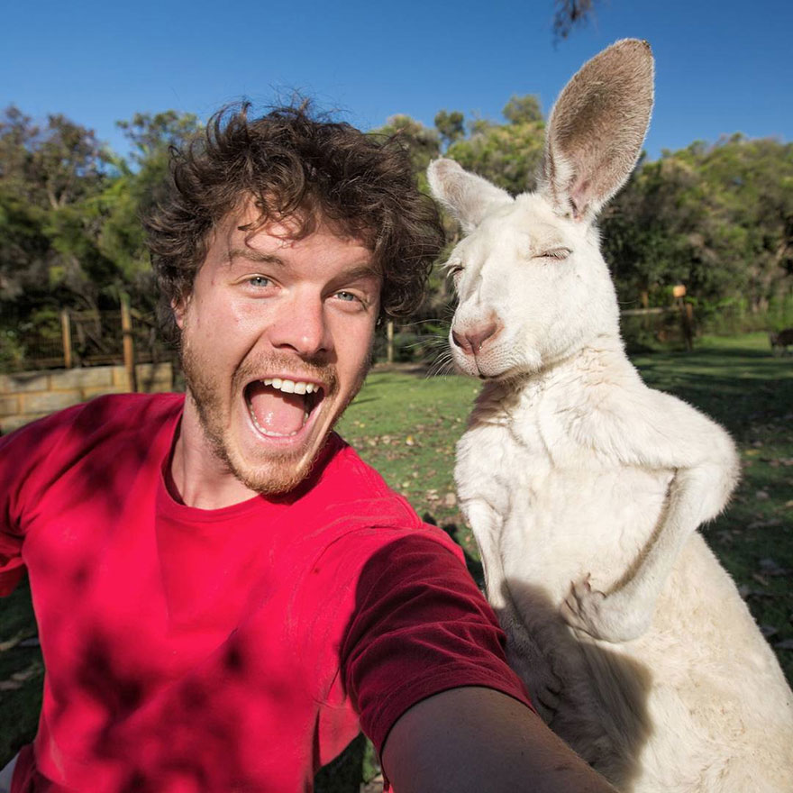 This Man Mastered The Art Of Animal Selfies! One With Parrot Is Priceless! This Man Mastered The Art Of Animal Selfies! One With Parrot Is Priceless!