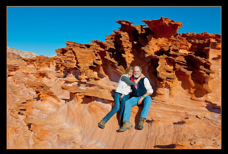 Susan Lambert and Steve Uzzell