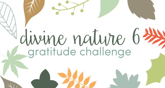 The Personal Progress Helper: Divine Nature 6 Gratitude Challenge for ...