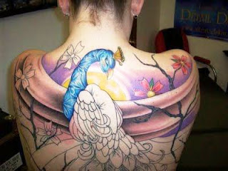 Peacock Tattoos Bird Tattoos, Peacock Tattoos