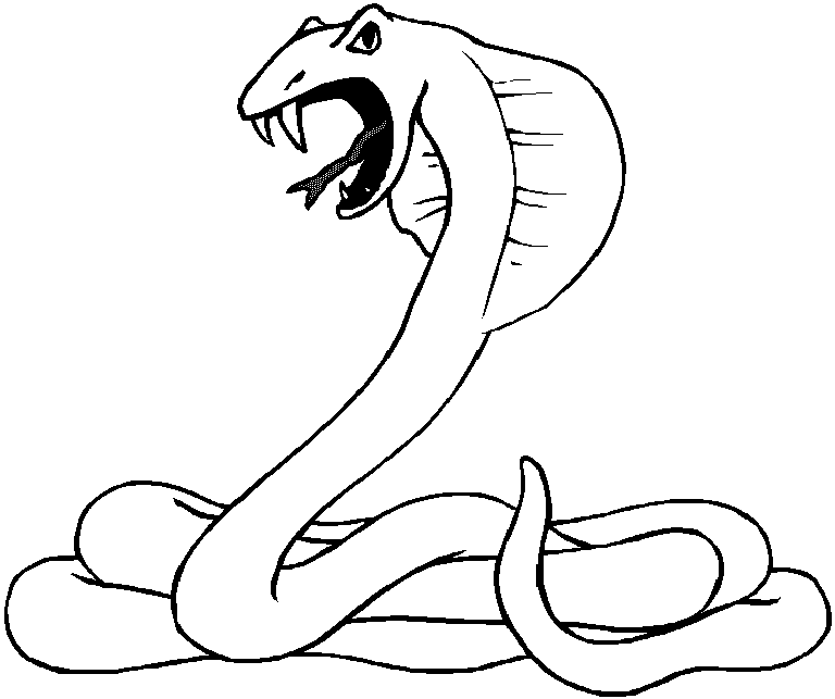 snakes coloring pages coloring.filminspector.com
