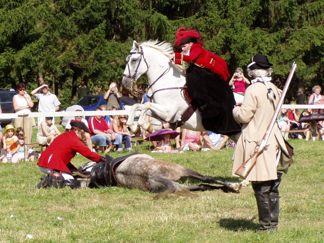 Wow!! Sidesaddle jump Show horses, Horses, Horse rider