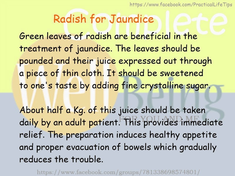 Practical Life Tips For You And Me Radish for Jaundice