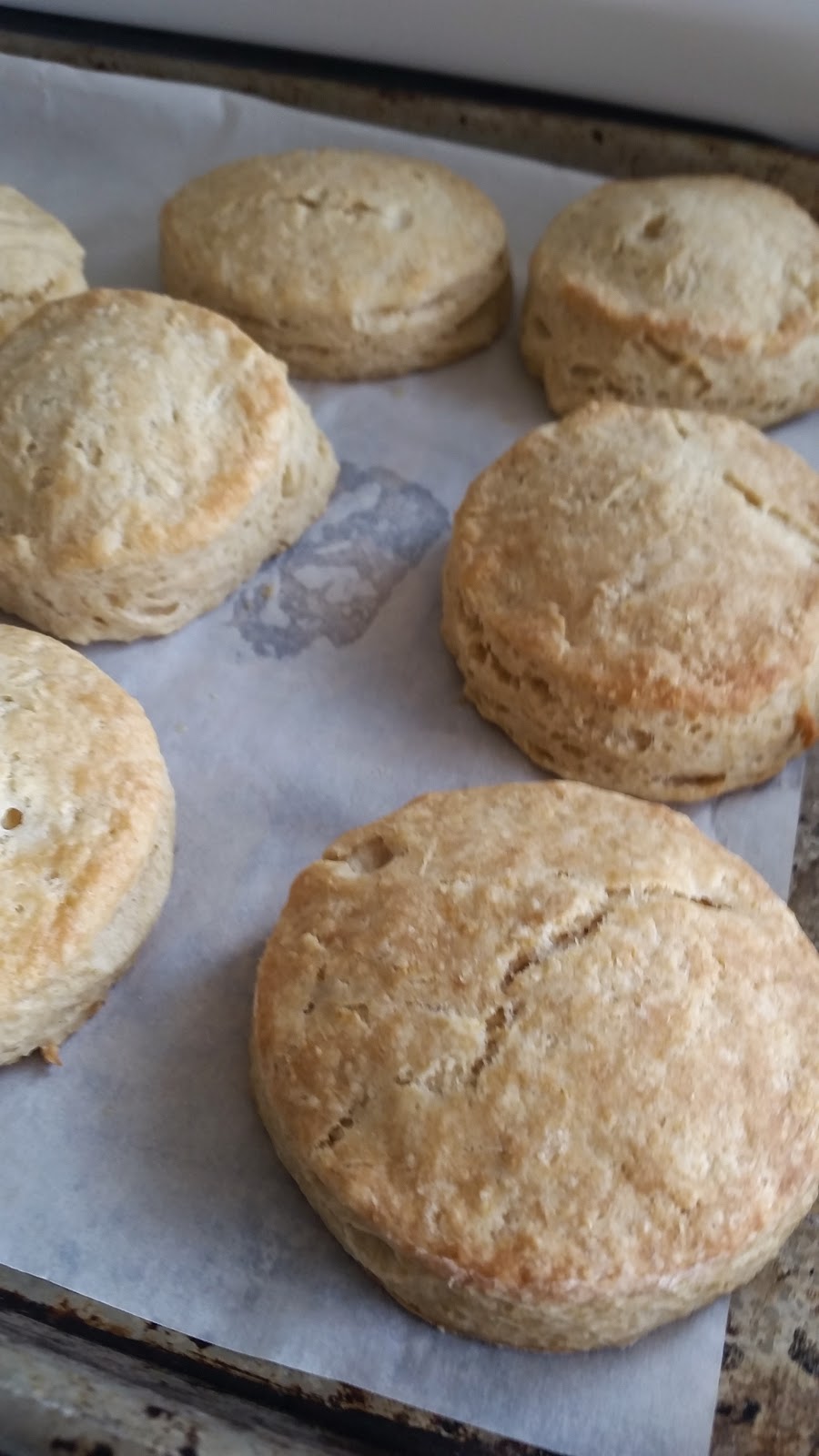 Fluffy Wheat Biscuits and Baking Powder Recipe Leah Nass