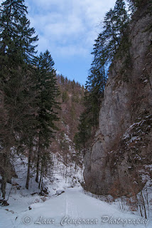 Cheile Zarnestilor Zarnesti Canyon Prapastiile Zarnestilor