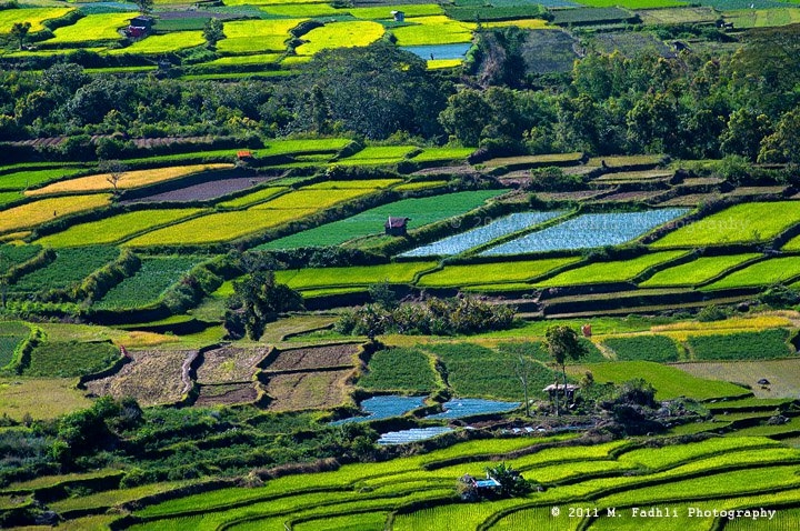 Peta Perekonomian Indonesia ~ Create Your Life!