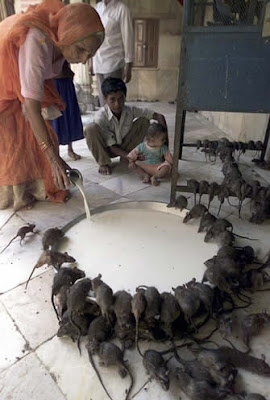 Funny pictures only in india