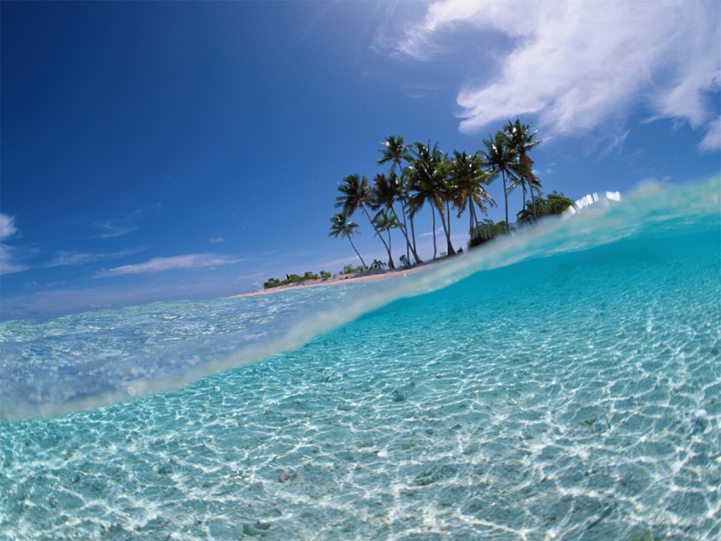 http://4.bp.blogspot.com/-i893UD1k5QY/USg51FxLz_I/AAAAAAAAhHg/IWK6Ht5icl4/s1600/Beach+of+HDWallpaper+(5).jpg